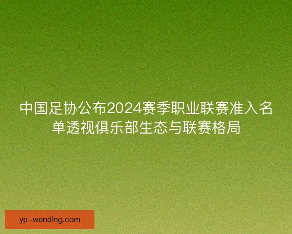 中国足协公布2024赛季职业联赛准入名单透视俱乐部生态与联赛格局