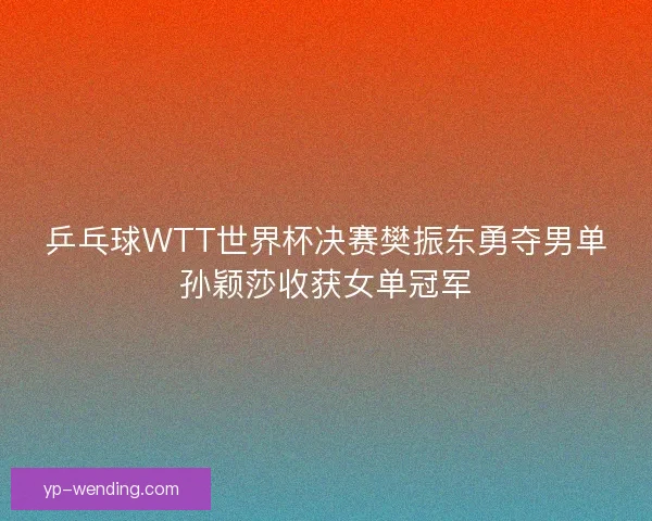 乒乓球WTT世界杯决赛樊振东勇夺男单孙颖莎收获女单冠军